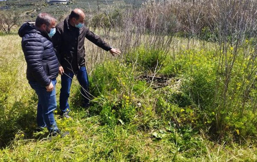 171760958_299883941763568_6571473947573165714_n