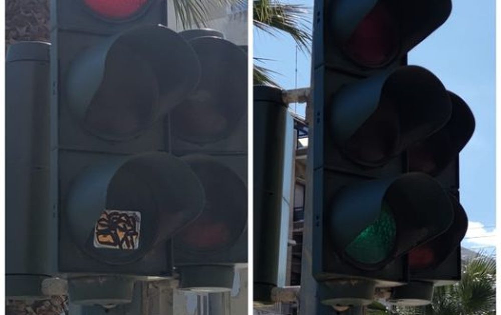 272228227_486303323121628_7885985541116287251_n