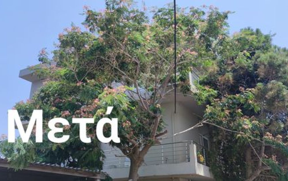 347565676_796415702179623_679912270293548435_n