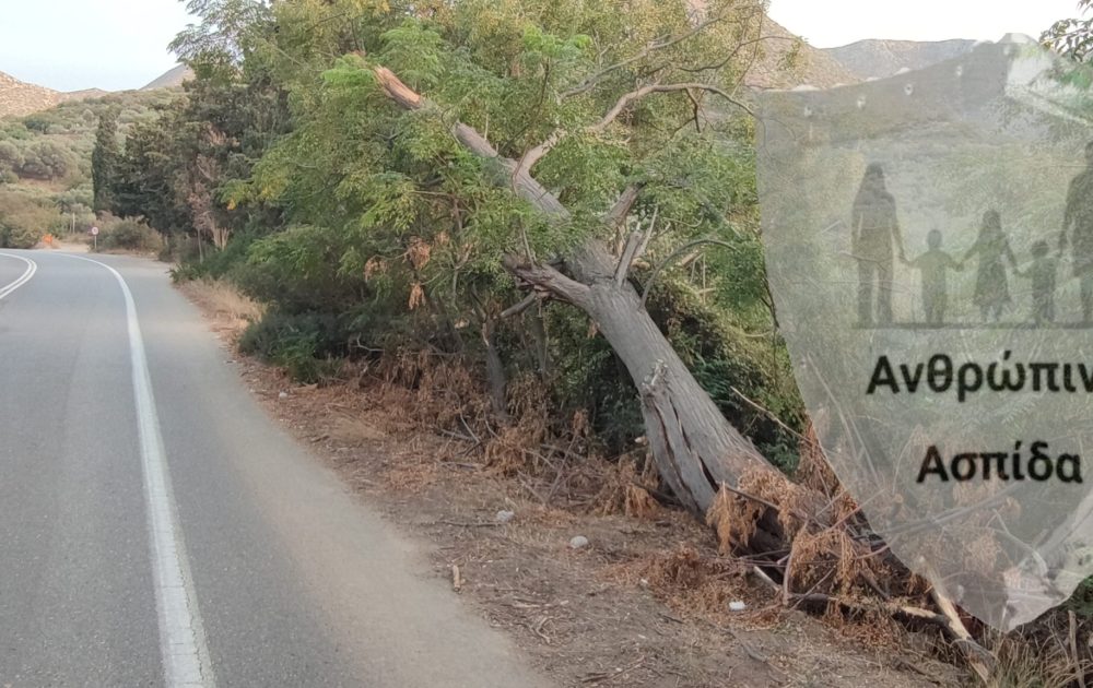 Polish_20231012_085452779