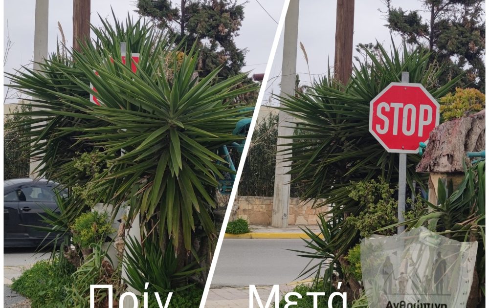 Polish_20240225_180313958