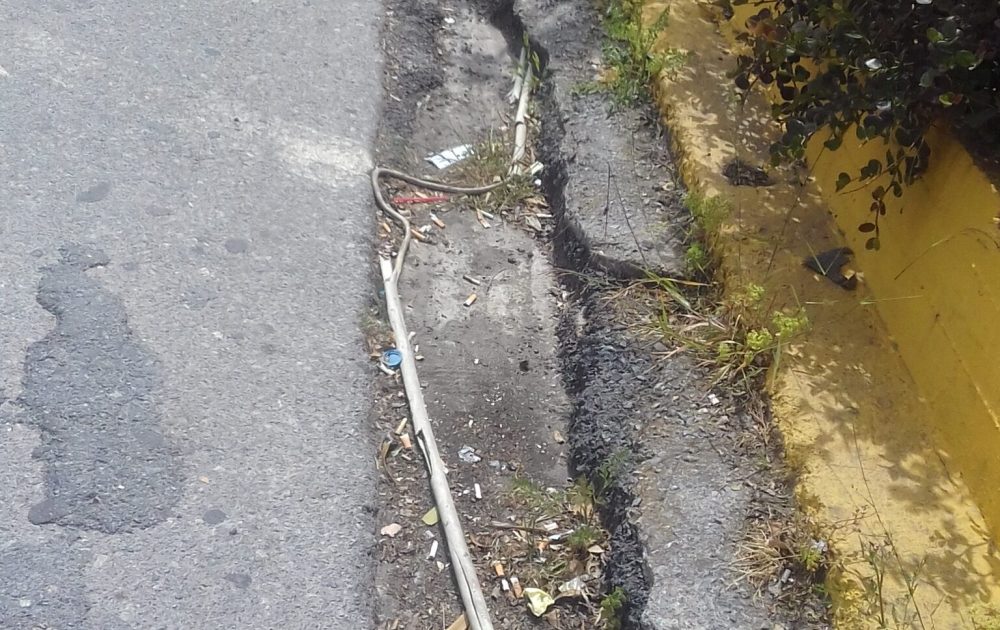 anthropini-aspida-arthro-2020-09-09-2