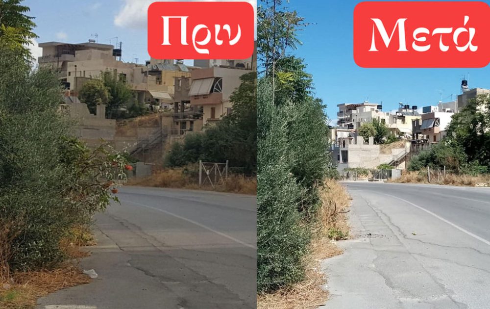 anthropini-aspida-arthro-2020-10-01-1