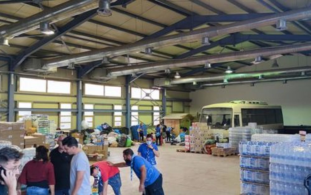 anthropini-aspida-arthro-2021-10-02-1