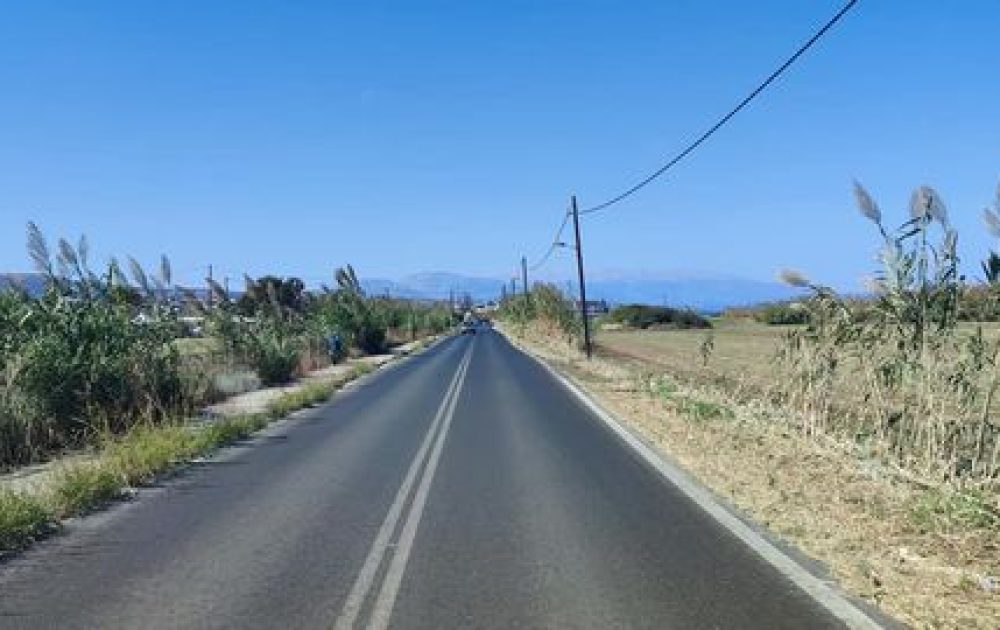 anthropini-aspida-arthro-2021-10-11-1