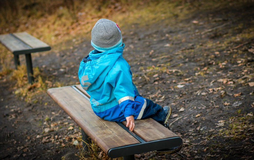 anthropini-aspida-arthro-2022-12-19-4