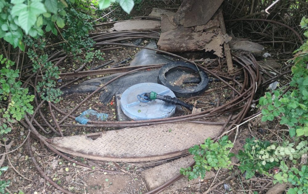 inbound4721665079784194501