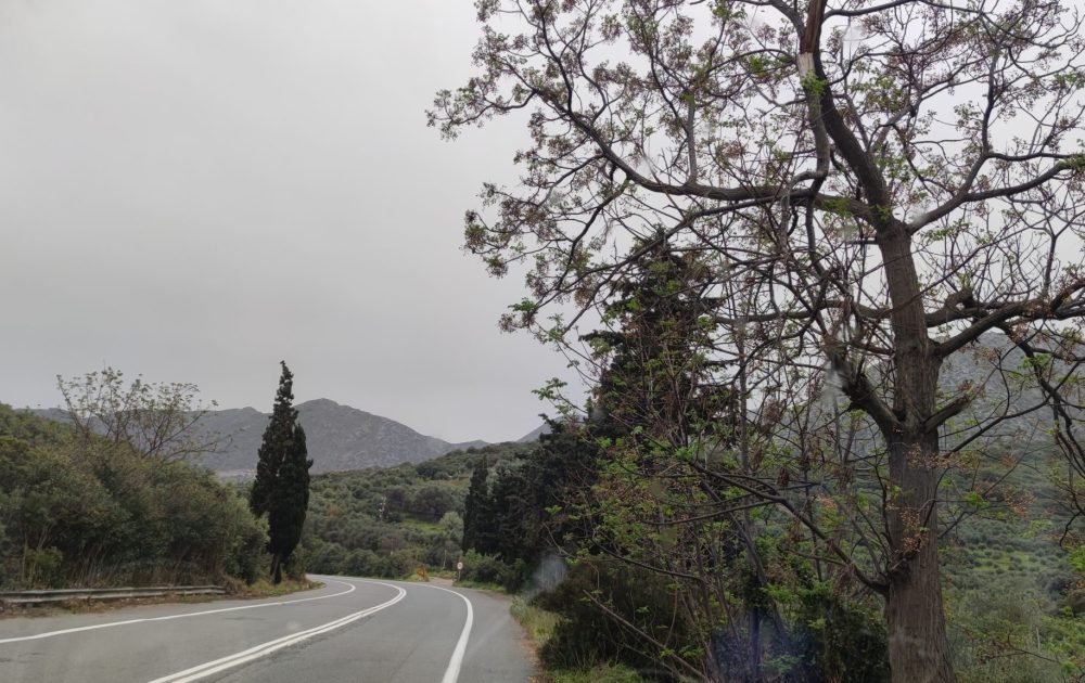 inbound5520925162391509644